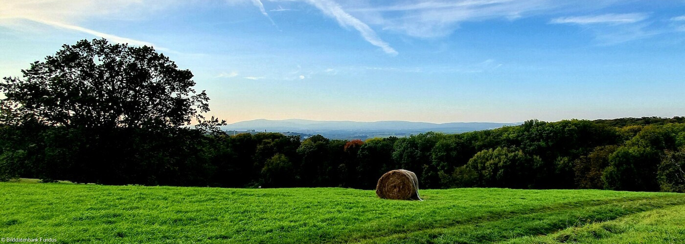 Herbstlandschaft