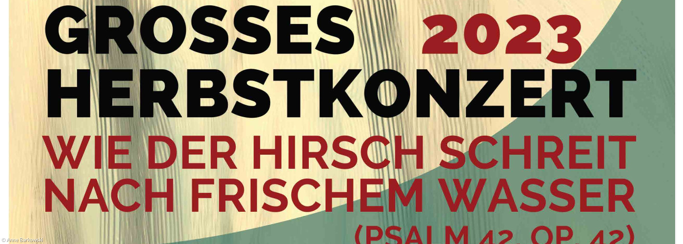 Plakat zeigt einen Hirsch und enthält die Daten zum Konzert in Uffenheim am 12.11. um 17 Uhr in der Stadtkirche