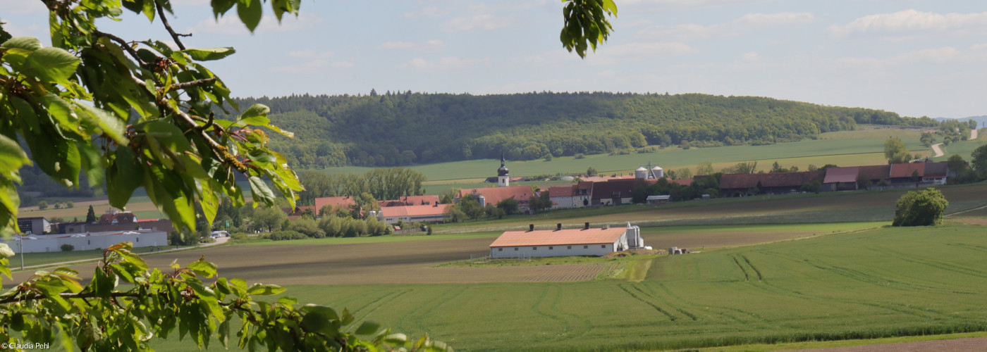 Blick auf die Kirche von Ulsenheim