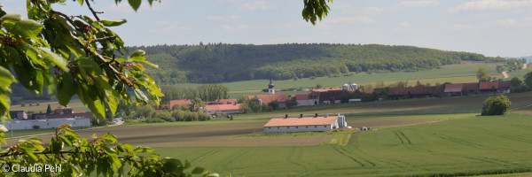 Blick auf die Kirche von Ulsenheim