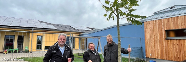 Präsidium des Dekanats Uffenheim meistert erfolgreich Baum-Challenge
