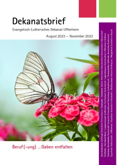 Schmetterlin sitzt auf einer Blüte