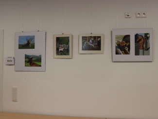Fotoausstellung unter dem Motto: Der etwas andere Blick