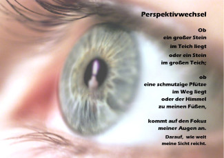 Auge mit Text