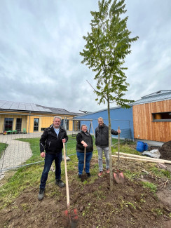 Präsidium des Dekanats Uffenheim meistert erfolgreich Baum-Challenge