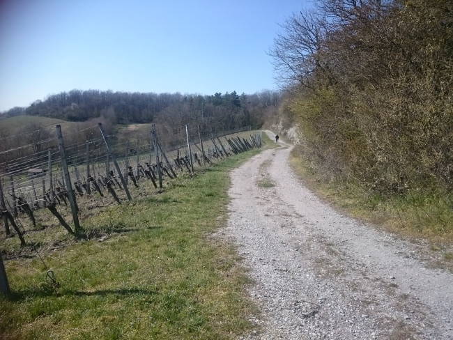 Weinbergweg