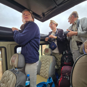 im Jeep auf Safari