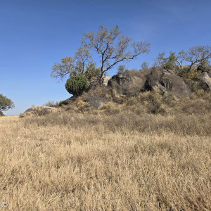 Karge Landschaft