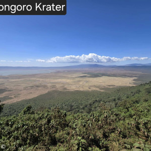 Blick in den Ngorongoro Krater