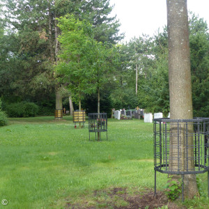 Baumgräber am Friedhof
